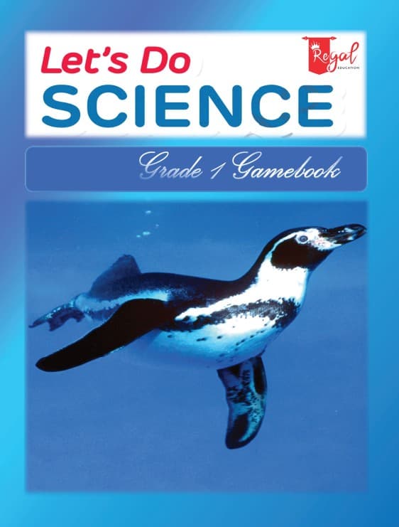 Let's Do Science P1 Β· Game