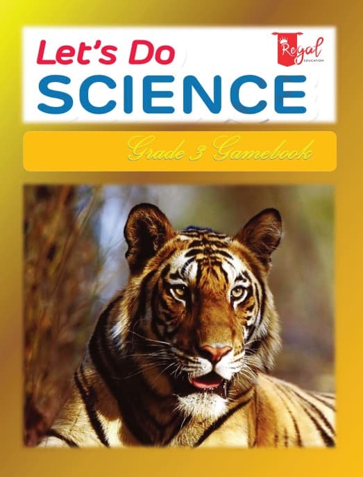 Let's Do Science P3 Β· Game